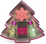 IDC Institute 4 db-os fürdőtermék készlet fahéjjal és fenyővel, IDC Institute, 50/100 ml