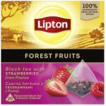 Lipton fekete tea bogyós gyümölcsökkel, 20 piramis filteres (9401)