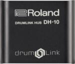 Roland DH-10 Interfață MIDI (DH-10)