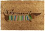 Artsy Mats Изтривалка от кокосови влакна 40x60 cm Welcome Sausage Dog - Artsy Doormats (6040W-WELCOMESAUSAGE)