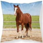 Detexpol Párnahuzat Ló a karámban mikro (DL-447065)