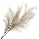 Homla Canne műág bézs 100 cm Homla (164426)