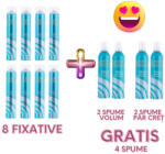 Everton Oferta 8 fixative 750ml + 4 spume par GRATIS - Centro Azzurro (102009N-7483-8292)
