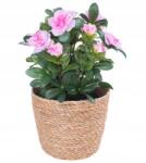 Tajemniczy ogród Virágtartó fonott Tengeri Fű Moroccan Fólia Középen 17cm bézs (5903039417038)