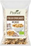 Pronat Fulgi crocanti din ovaz Bio, 250g, Pronat