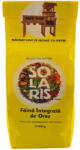 Solaris Faina integrala de orez, 500g, Solaris