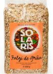 Solaris Fulgi de grau, 500g, Solaris