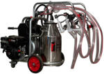 Melasty Aparat de muls oi sau capre Melasty galvanizat, motor pe benzina, 4 posturi si bidon inox 40 L (EMTDKKC4-S GE S40)