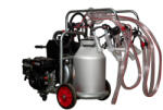 Melasty Aparat de muls oi sau capre Melasty galvanizat, motor pe benzina, 4 posturi si bidon aluminiu 40 L (EMTDKKC4-S GE A40)