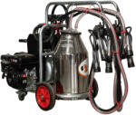 Melasty Aparat de muls vaci Melasty galvanizat, motor pe benzina, 2 posturi si bidon inox 40 L (EMTDK2-PK GE S40)