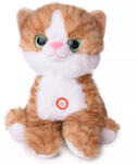 Amek Toys ПЛЮШЕНА КОТКА СЪС ЗВУК 25 СМ СИВА/ОРАНЖЕВА - armtoys