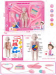 Armtoys ДОКТОРСКИ КОМПЛЕКТ АНАТОМИЯ НА ЧОВЕКА - armtoys