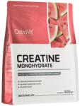 OstroVit Creatine Monohydrate Powder - Micronized [500 грама] Диня