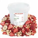Green Touch Gyümölcs Liofilizált MIX Szett málna banán ananász alma 100 g (LIO_ZESTAW_5)