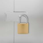 vidaXL U Lock с ключове 12 бр. Месинг Желязо (42021892)