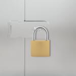 vidaXL U Lock с ключове 100 бр. Месинг Желязо (42021929)