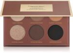 Pierre René PROFESSIONAL Mocha Mousse палитра сенки за очи цвят Espresso 6x1.3 гр