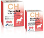 Chemical Ibérica CH HYALOPHYT MSM MARE supliment nutritiv pentru articulatii, pentru caini de talie mare 120 tbl