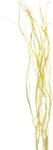  Szárított virágdísz pasztellsárga fűzfaágak kb. 120 cm hosszú 1 csokor Salix