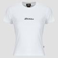 Dickies Rövid ujjú pólók WELLSVILLE SS TEE Fehér EU L