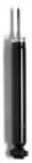 MONROE Amortizor MONROE R6652 (R6652)