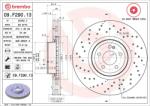 BREMBO Brzdový kotúč BREMBO 09. F290.13 (09.F290.13)