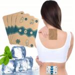  Mentolos Mentás fájdalomcsillapító tapaszok ízületi fájdalmakra, hűsítő, 9x13cm (Plastry Przeciwbólowe)