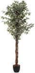  Planta artificiala Atmosphera Ficus cu ghiveci, 97x86x185 cm, verde in doua nunante (JJ-110341A)