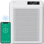 Evoair Homi P300