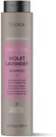 Lakmé Teknia Color Refresh Lavender sampon festett viola hajra 300 ml
