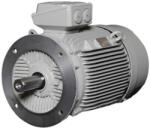Lammers 0, 75kW 2p 080 B5 230/400V villanymotor 230 V/400 V | 750 W | 3000 RPM | B5 nagyperemes (32000752101300)
