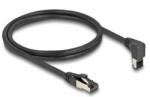 Delock Patch Cord Delock 80394, S/FTP, Cat8.1, 1m, Black (80394)