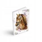 MFP paper s. r. o A6 Mfp jegyzetfüzet 100 lap, 7501416 vonalak (7501416)