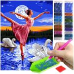 Artulio Gyémánt hímzés romantikus mozaik diamond painting 5D balett hattyúk (Haft Diamentowy diamond painting Mozaika 5d)