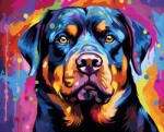 Alkotásutca Színes rotweiller - Számfestő készlet kereten 40x50