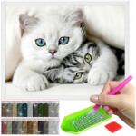 Artulio Gyémánt Hímzés Kép Mozaik Festés Keret