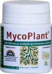Trabe Mycoplant - биостимулант за корени (микориза на прах) 20гр (4905)