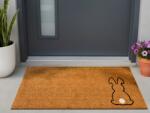 Maxishop Covor intrare LINGAYEN Natural 55 x 120 cm Iepure Fibra de nuca de cocos Pres