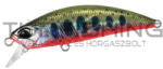 Duo DUO SPEARHEAD RYUKI 50S 5cm 4.5gr ADA4068 Yamame Red Belly (DUO30971)
