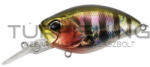 Duo DUO REALIS CRANK 48MR KABUKI 4.8cm 10.5gr ADA3058 Prism Gill (DUO50242)