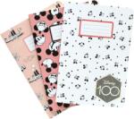 Erik Set agende Erik Disney: Mickey Mouse - 100th Anniversary, format A6 (PCA6004)