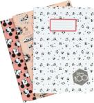 Erik Set agende Erik Disney: Mickey Mouse - 100th Anniversary, format A5 (PCA5004)