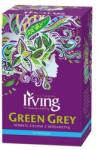 IRVING zöld tea, Green Grey, 20 filter, 30 g, bergamott íz