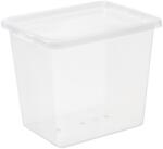 IRIS Basic Box 31 literes tárolódoboz tetővel 22970800