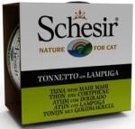Schesir macskaeledel - Tonhal és aranydurbincs aszpikban 85 g