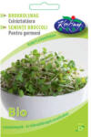 Rédei Kertimag bio brokkolimag csíráztatásra 20 g - vegyesbolt