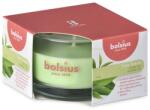 Bolsius Bolsius Polska Sprzedaż sp. z o. o. Ароматна свещ Bolsius Aromatic 2.0 в стъкло, 80x50 мм, Зелен чай