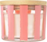 SOLVENT Import dod. PL Q Home свещ Peppermint Swirl Pink 312 г