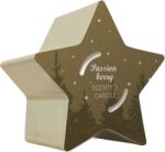 SOLVENT Import dod. PL Свещ Q Home Star gold 125 г