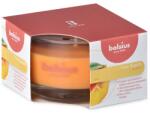 Bolsius Bolsius Polska Sprzedaż sp. z o. o. Ароматна свещ Bolsius Aromatic 2.0 в стъкло, 80x50 мм, Манго